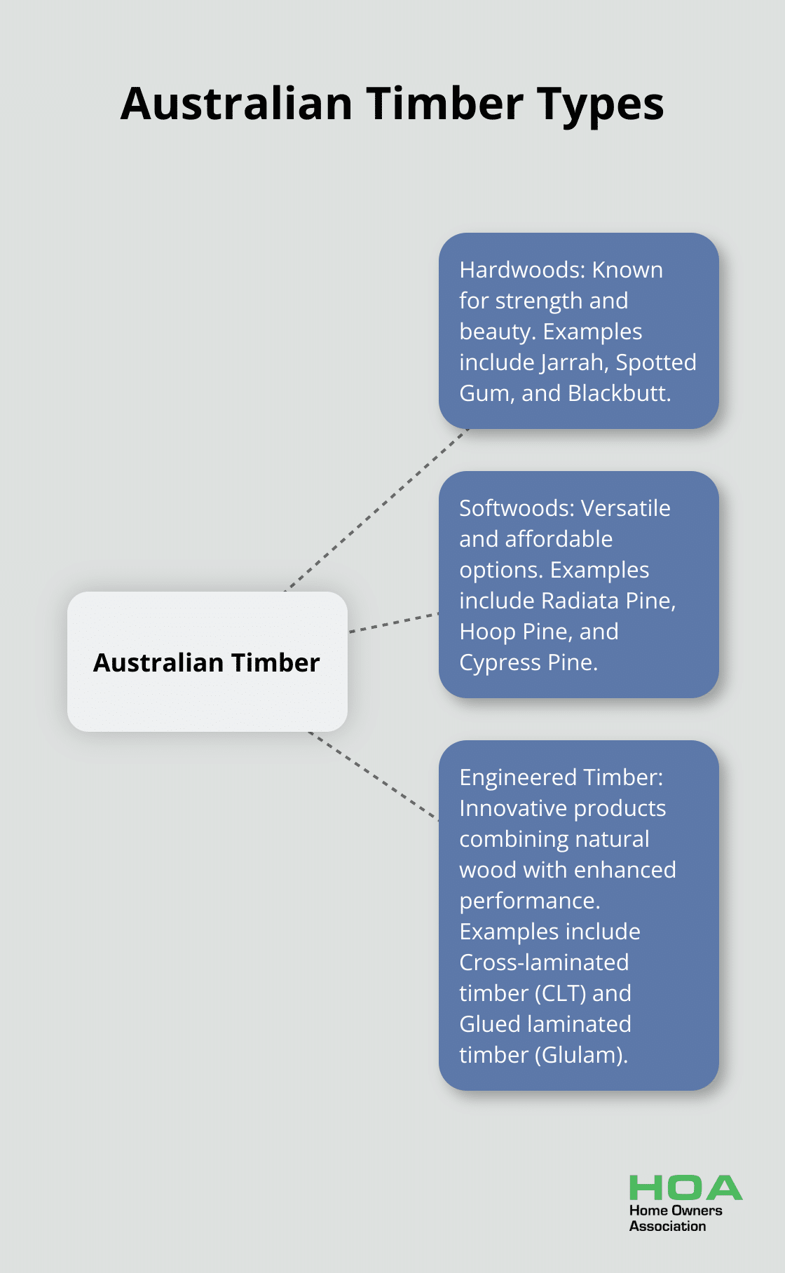Hub-and-spoke chart showing three main types of Australian timber: Hardwoods, Softwoods, and Engineered Timber, with examples for each.
