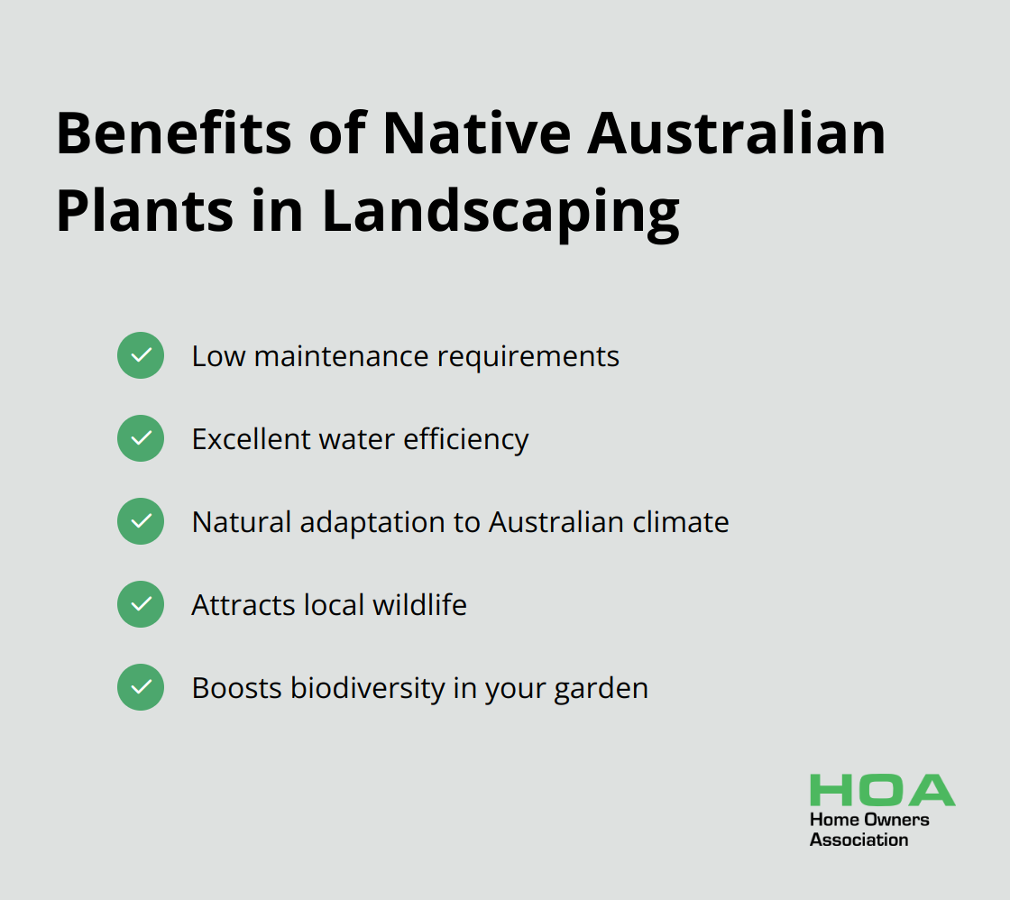 A checklist of benefits of using native Australian plants in landscaping, including low maintenance, water efficiency, climate adaptation, wildlife attraction, and biodiversity boost.